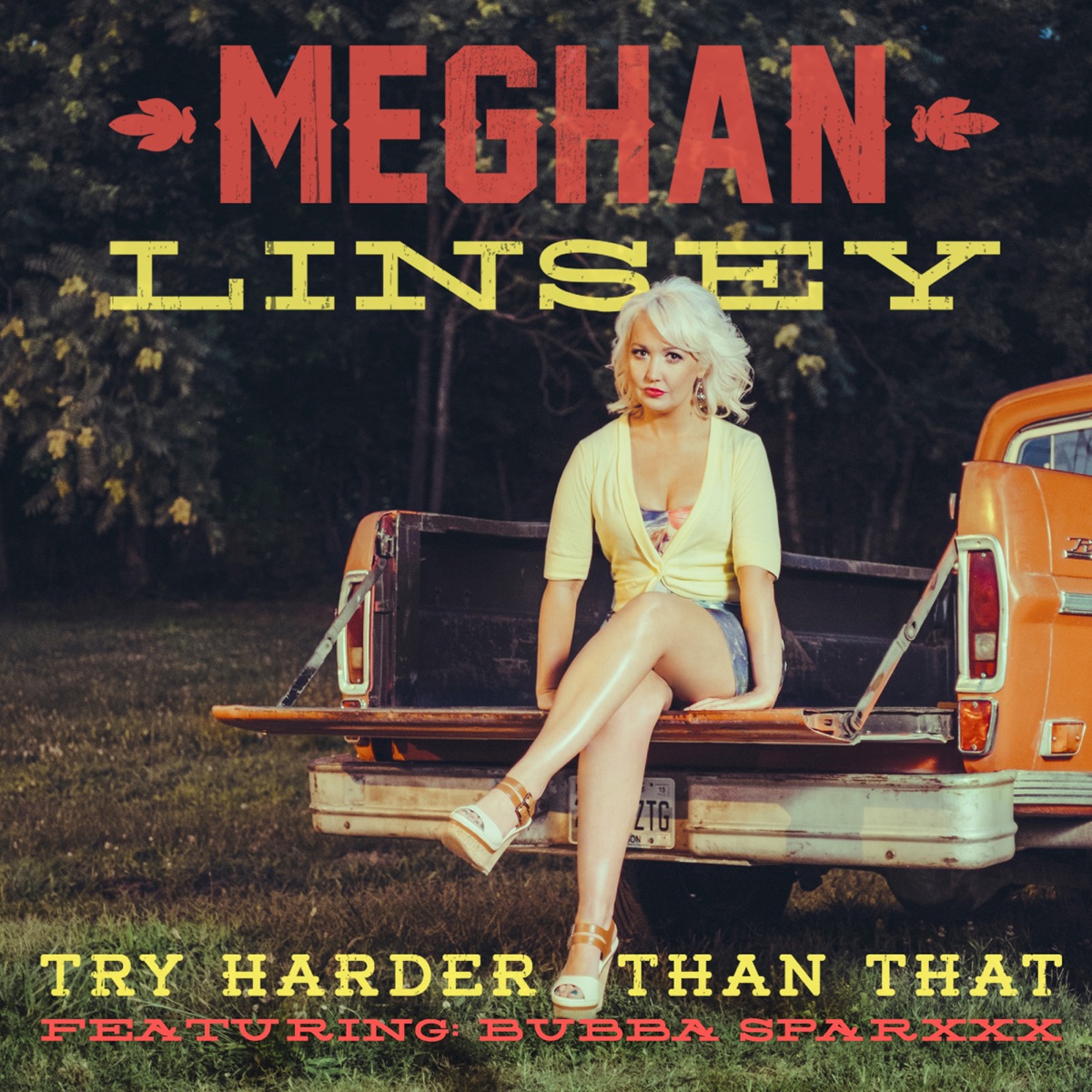 Try Harder Than That (feat. Bubba Sparxxx) - Single by Meghan Linsey album cover