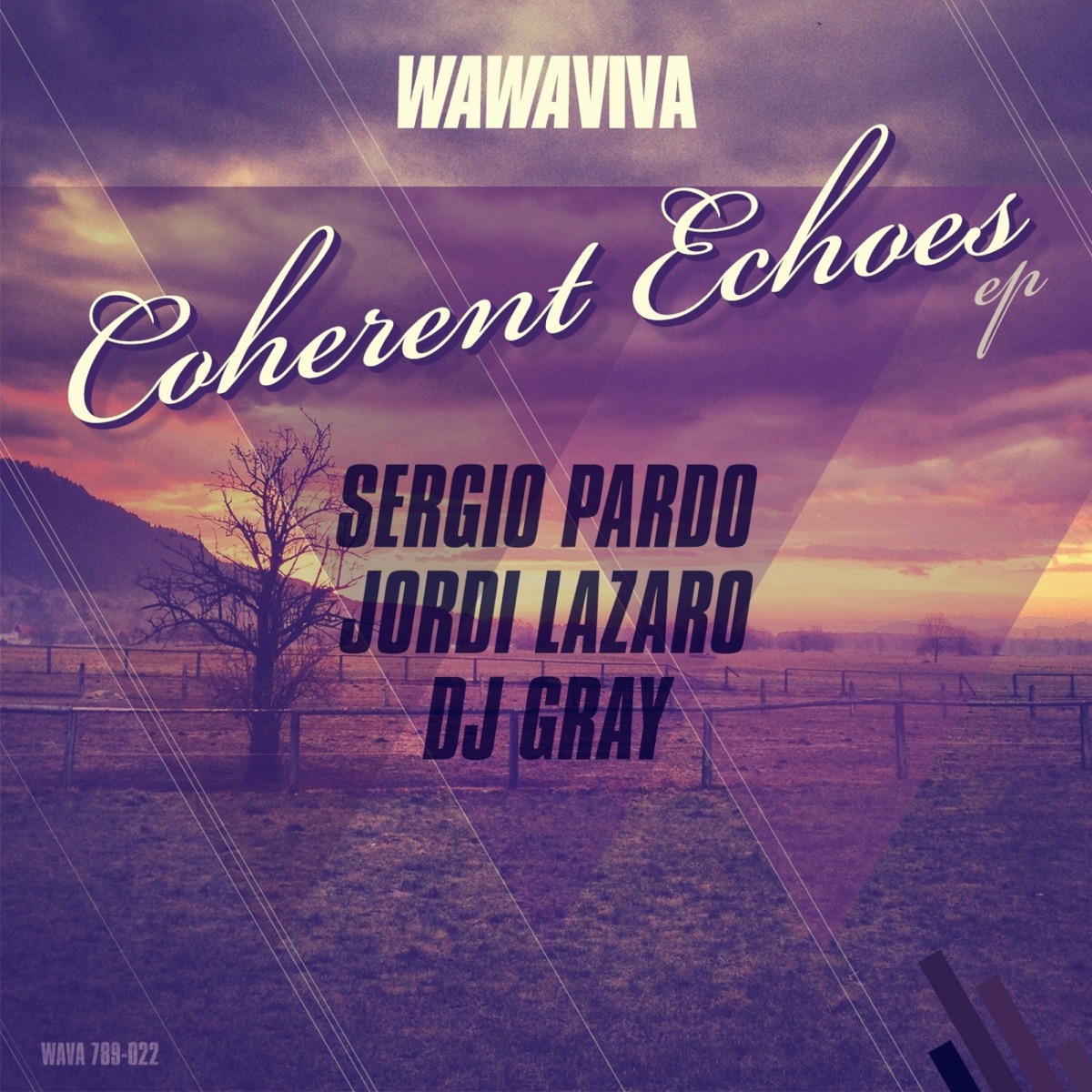 Coherent Echoes - Single by Sergio Pardo, Jordi lazaro & DJ Gray album cover