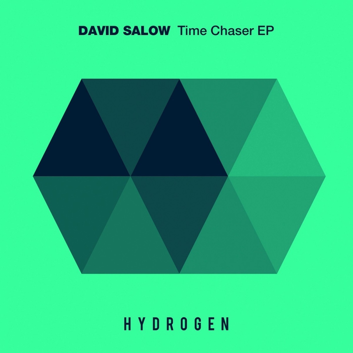 Time Chaser - Single by David Salow album cover