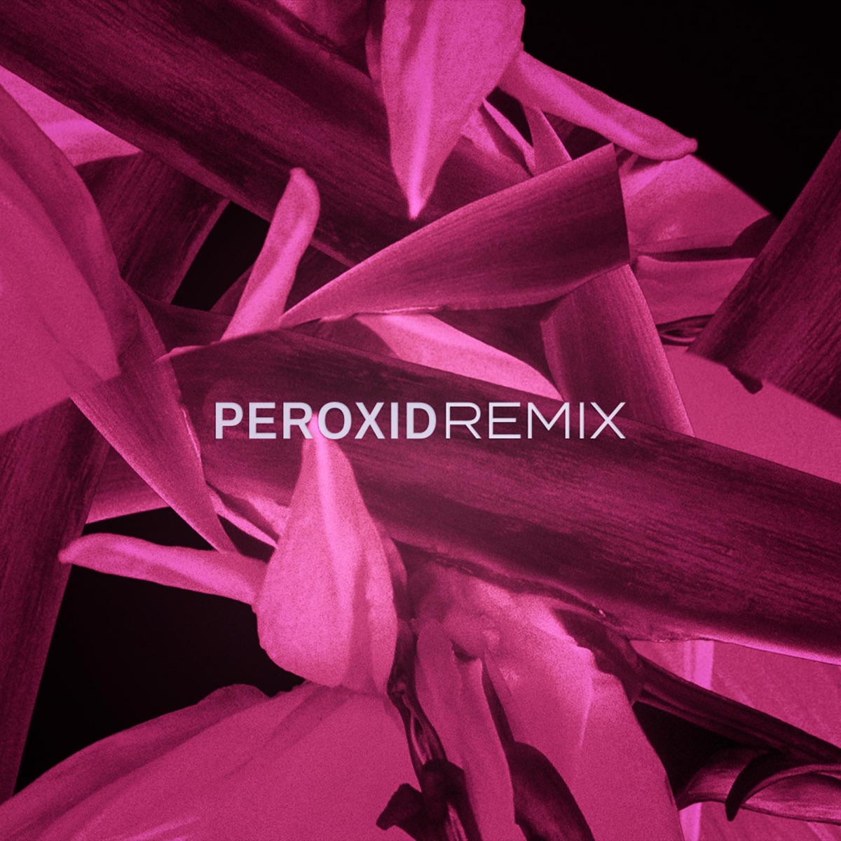 Peroxid (Remix) [feat. Fobia Kid, Otis, Mega M & P.A.T.] - Single by Pil C album cover