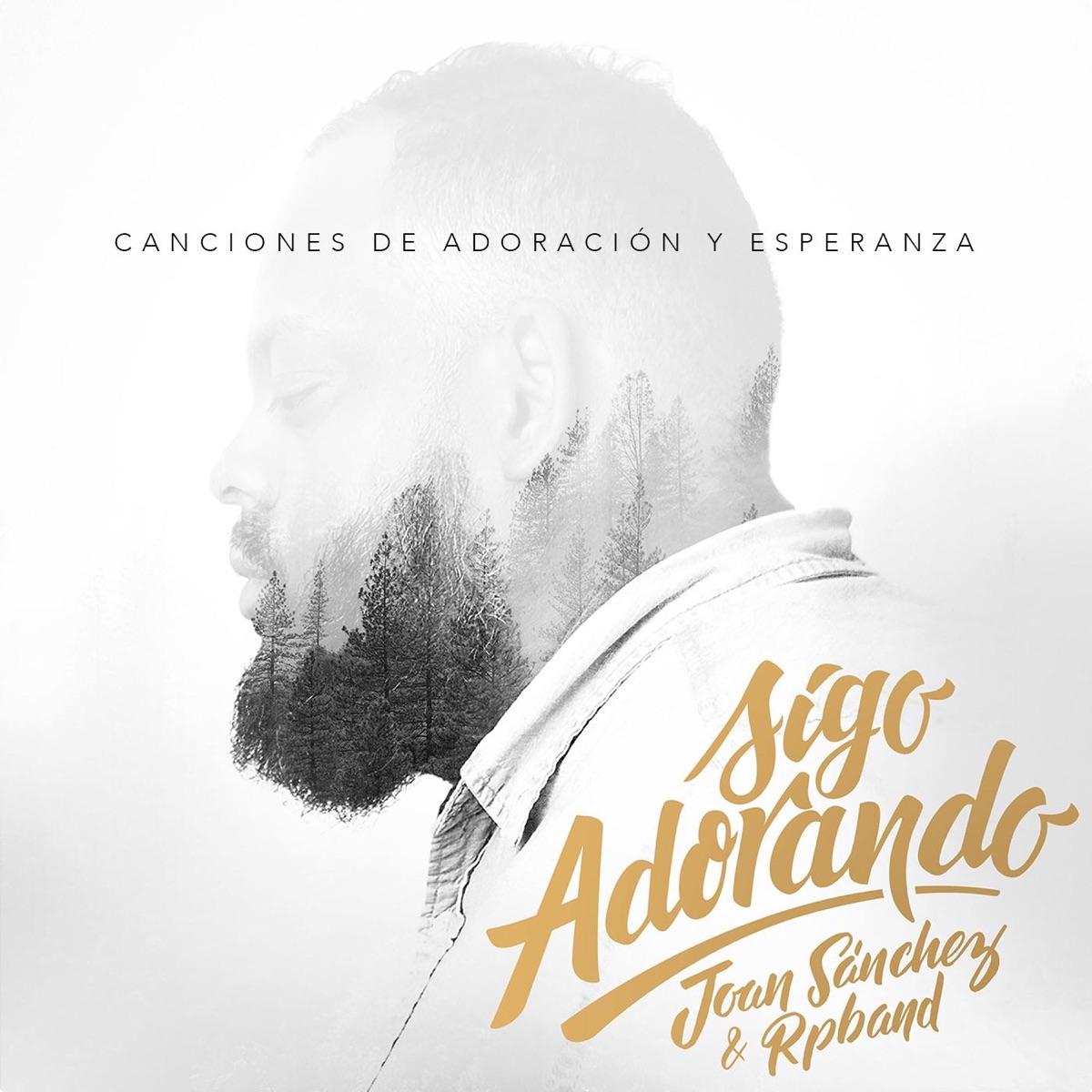 Sigo Adorando by Joan Sanchez & RP Band album cover