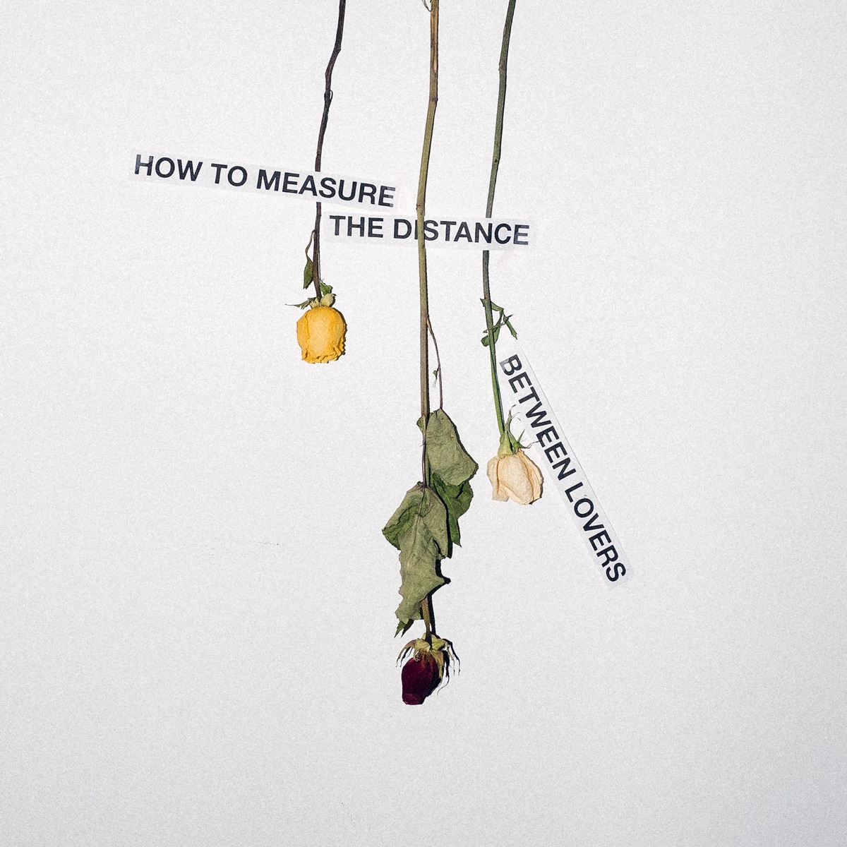 How To Measure the Distance Between Lovers by Mija album cover