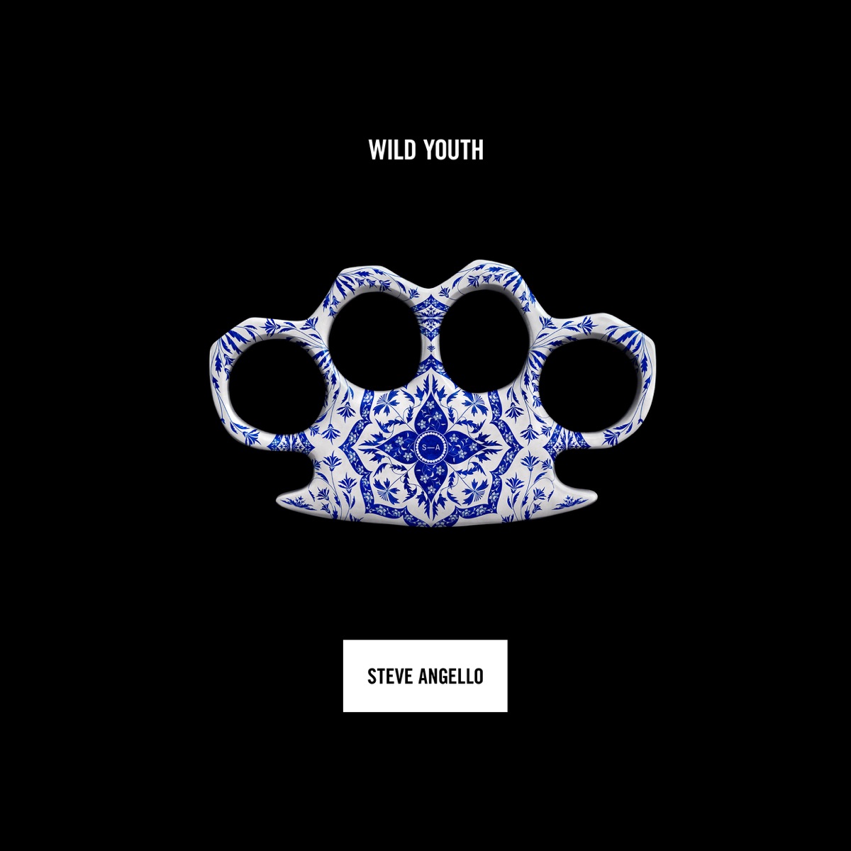 Wild Youth by Steve Angello album cover