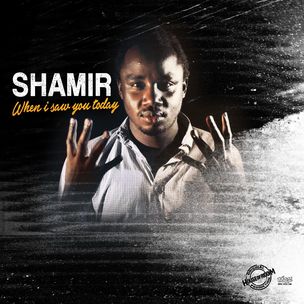 When I Saw You Today - Single by Shamir album cover
