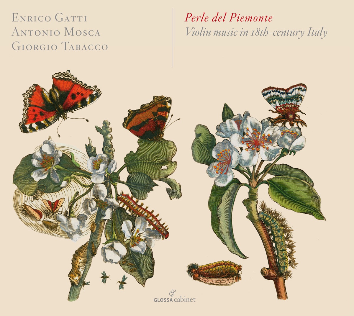 Perle del Piemonte: Violin Music in 18th-Century Italy by Enrico Gatti, Antonio Mosca & Giorgio Tabacco album cover