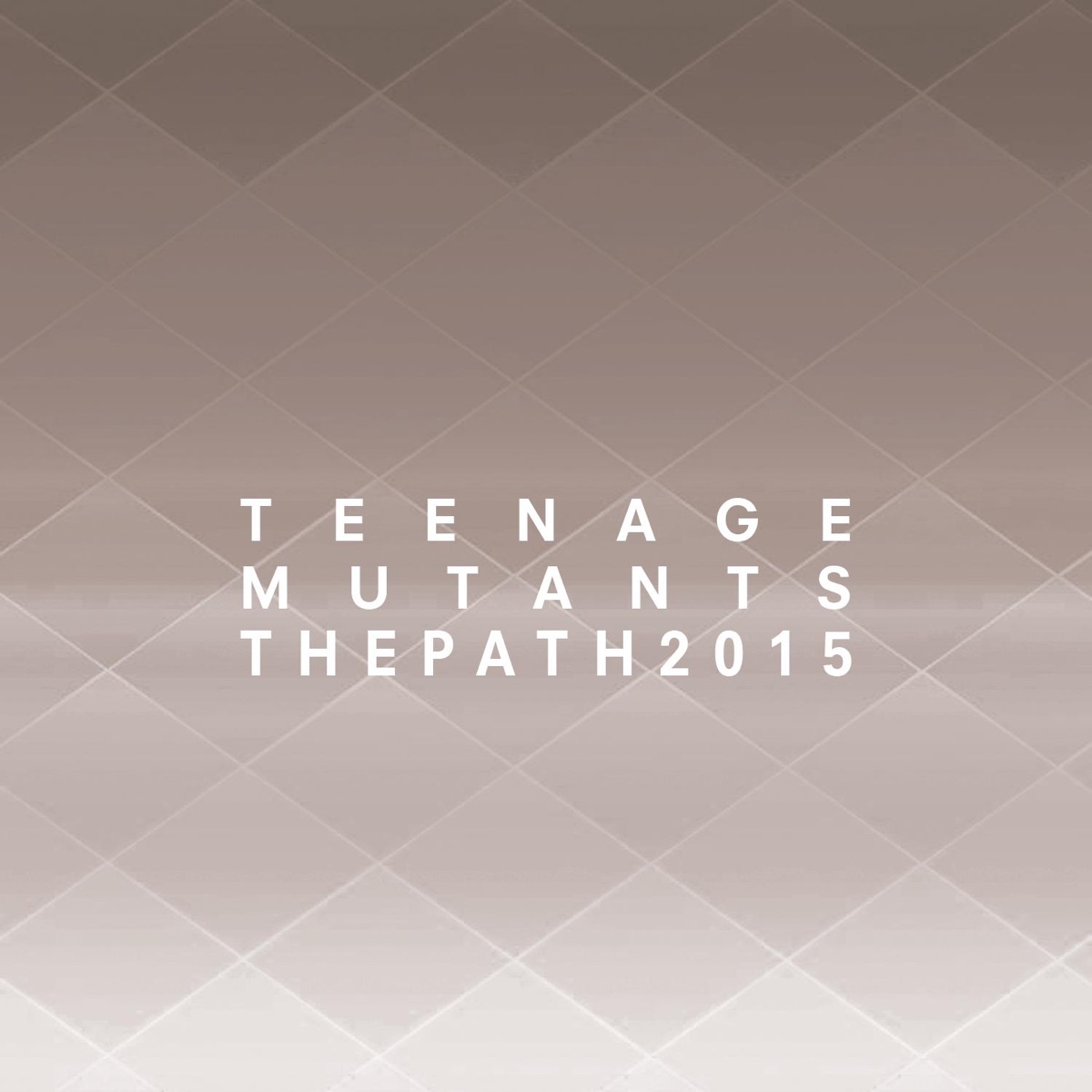 The Path 2015 - Single by Teenage Mutants album cover