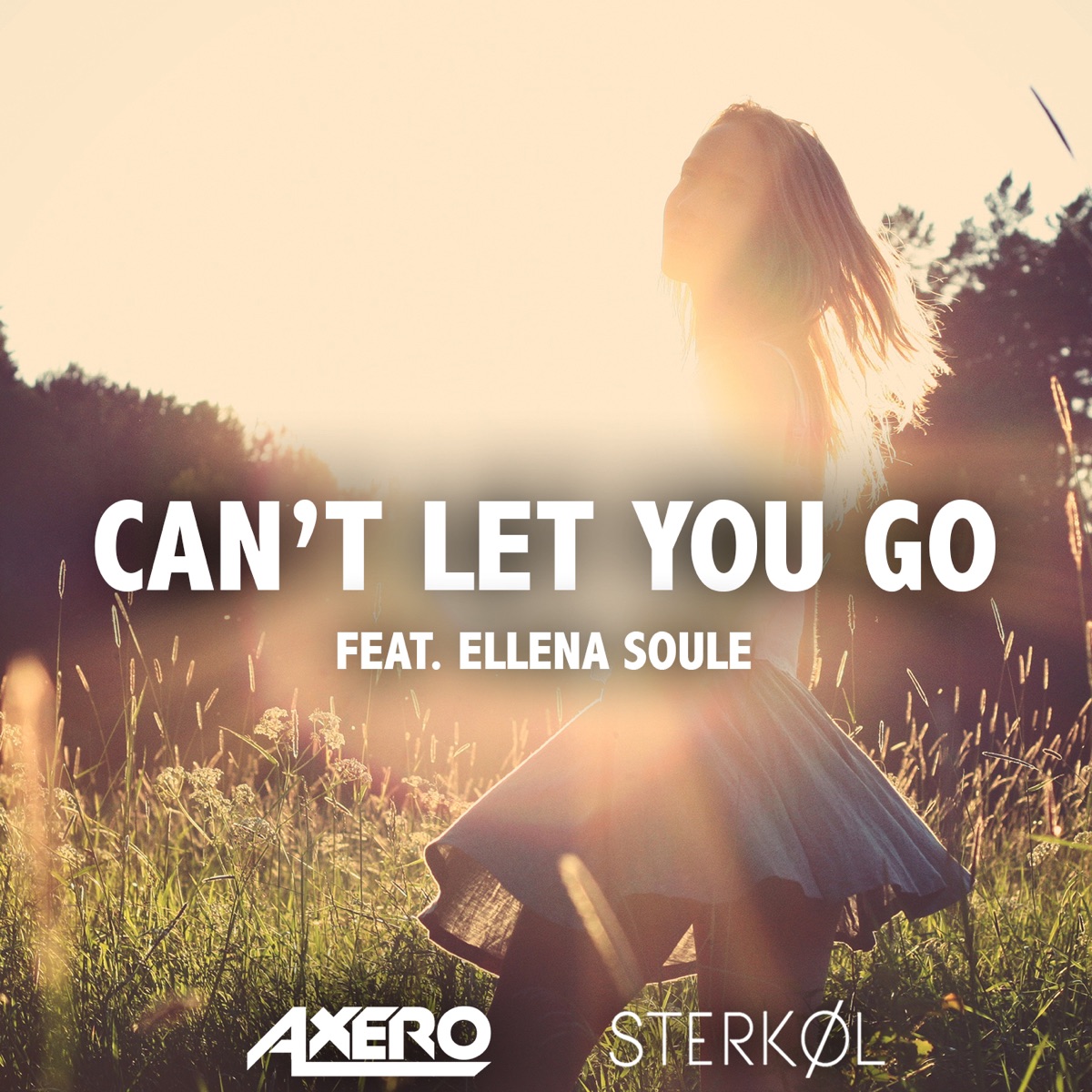 Can't Let You Go (ft. Ellena Soule) - Single by Axero & Sterkøl album cover