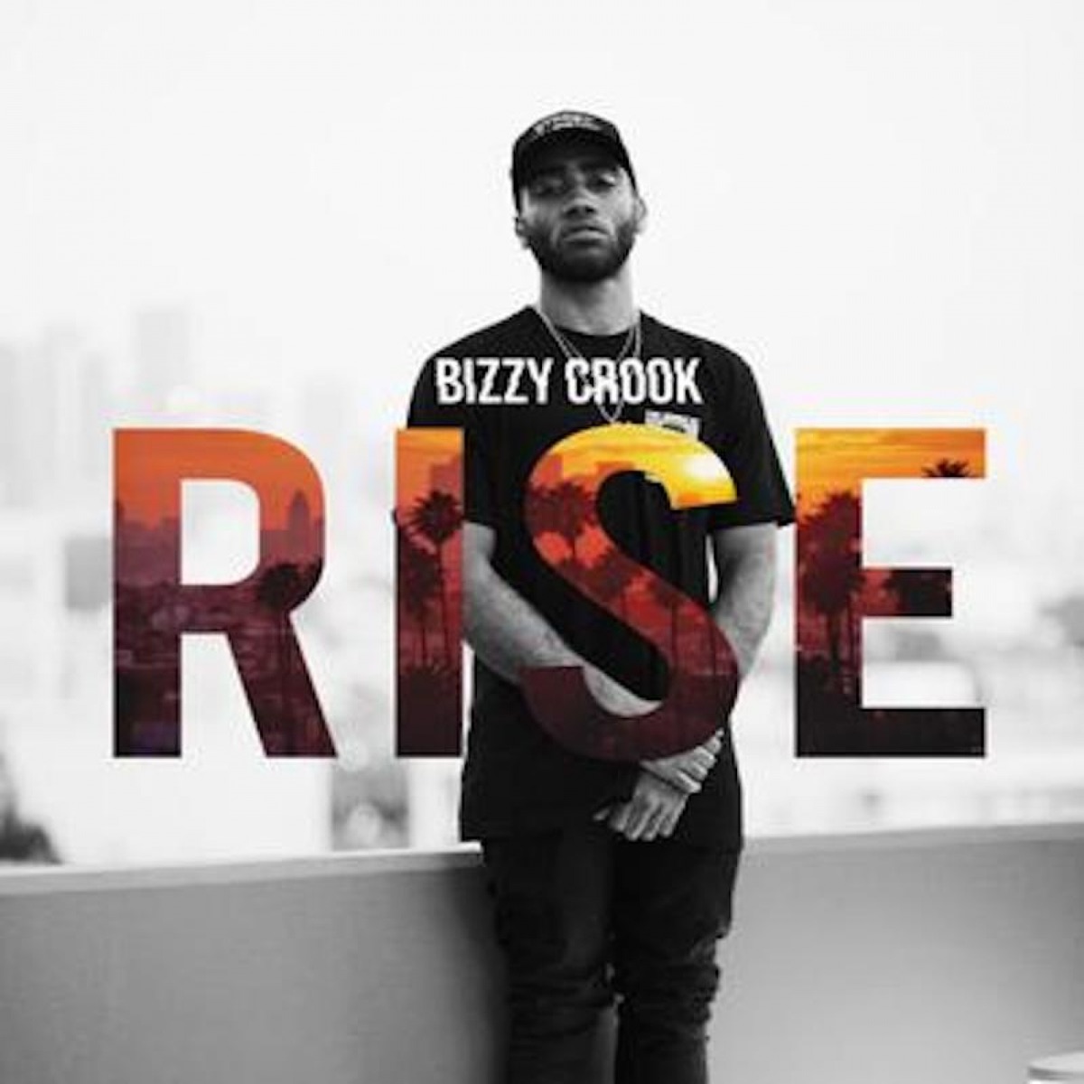 Rise - Single by Bizzy Crook album cover