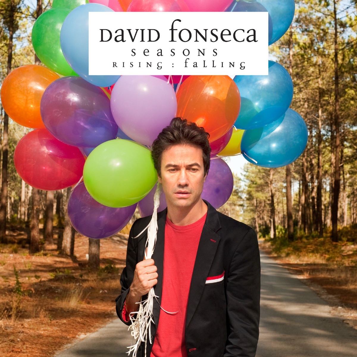 Seasons - Rising : Falling by David Fonseca album cover