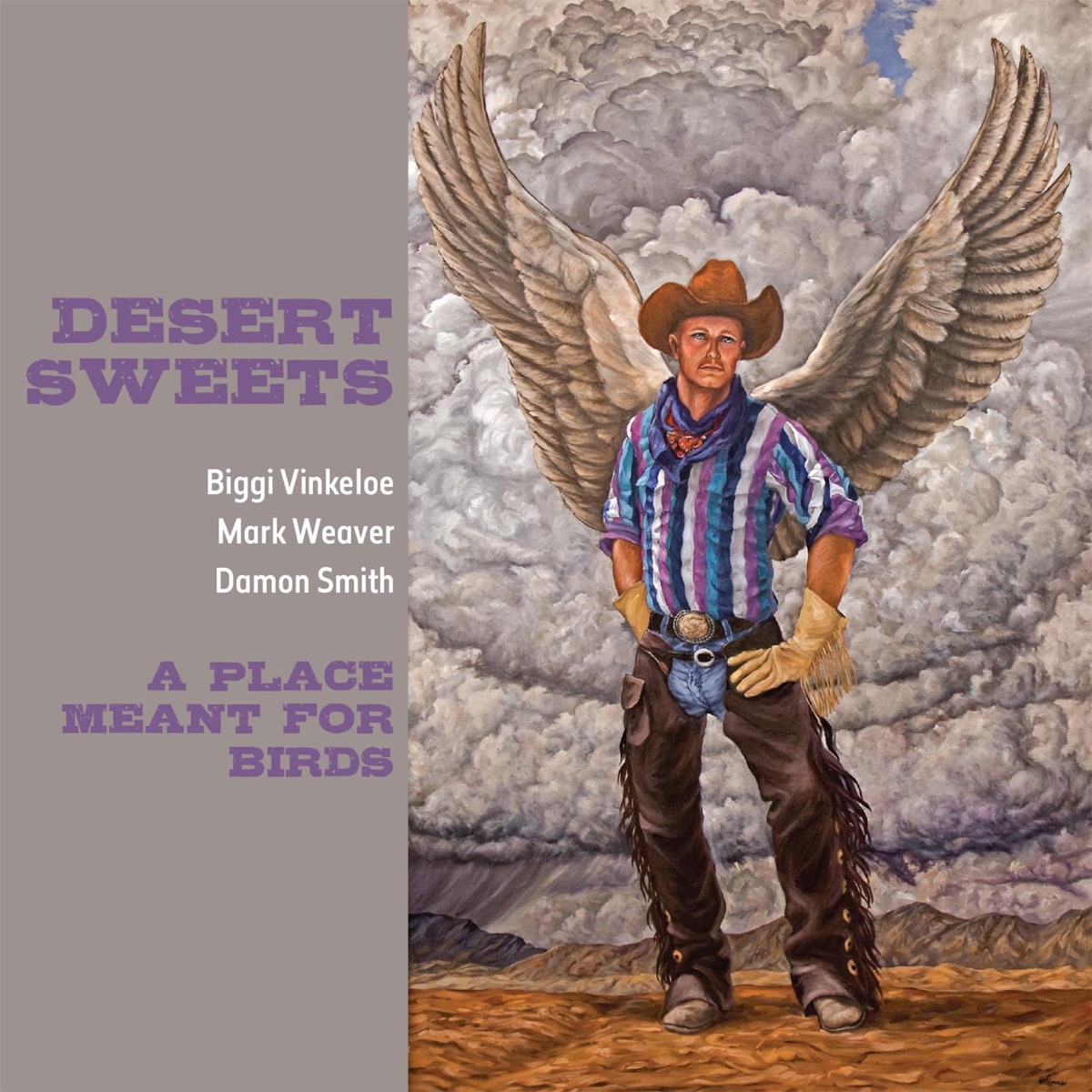 A Place Meant for Birds by Biggi Vinkeloe, Mark Weaver & Damon Smith album cover