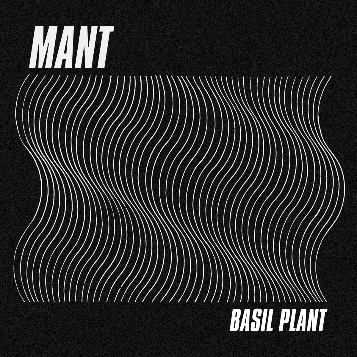 Basil Plant - Single by MANT album cover