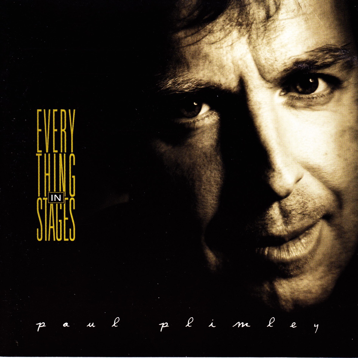 Everything In Stages by Paul Plimley album cover