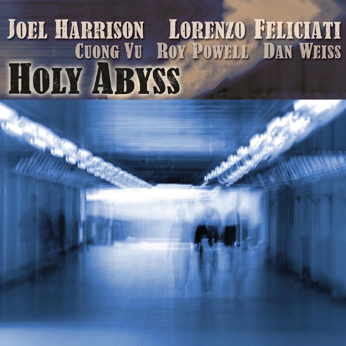 Holy Abyss by Joel Harrison, Lorenzo Feliciati, Cuong Vu, Roy Powell & Dan Weiss album cover