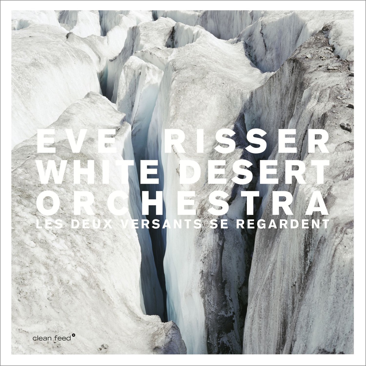 Les deux versants se regardent (feat. Sylvaine Helary, Antonin Tri Hoang, Benjamin Dousteyssier, Sophie Bernado, Eivind Lønning, Fidel Fourneyron, Julien Desprez, Fanny Lasfargues & Sylvain Darrifourcq) by Eve Risser White Desert Orchestra album cover