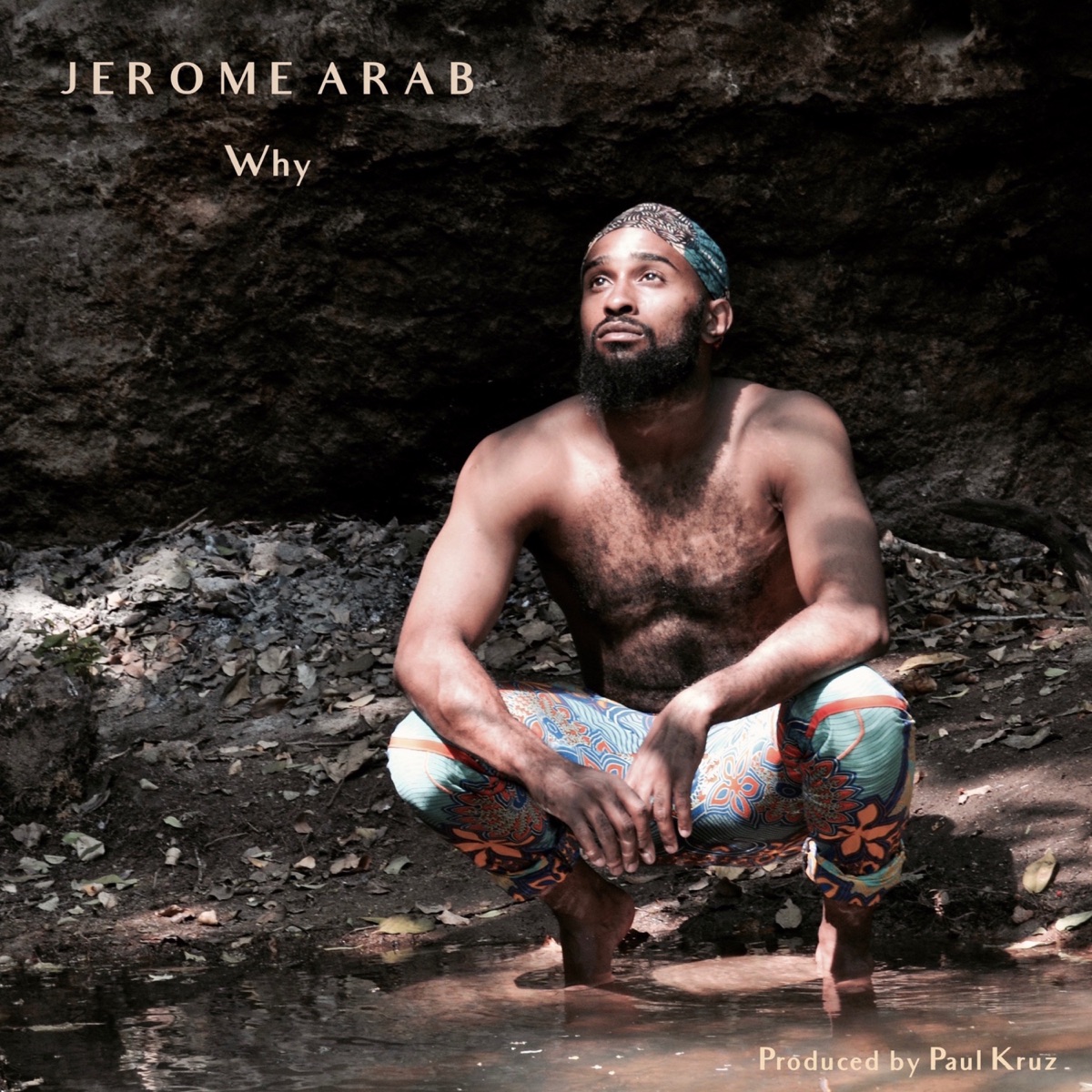 Why - Single by Jerome Arab album cover