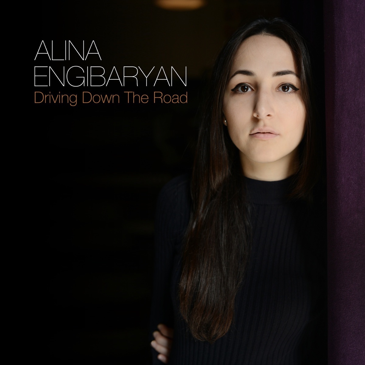 Driving Down The Road (feat. Alex Sipiagin, Misha Tsiganov, Donald Edwards, Boris Kozlov & Seamus Blake) by Alina Engibaryan album cover